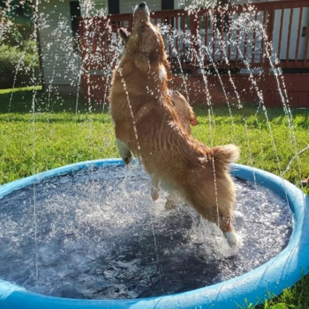 🐶☀️ Keep Your Furry Friend Cool: The Ultimate Summer Splash Pad!