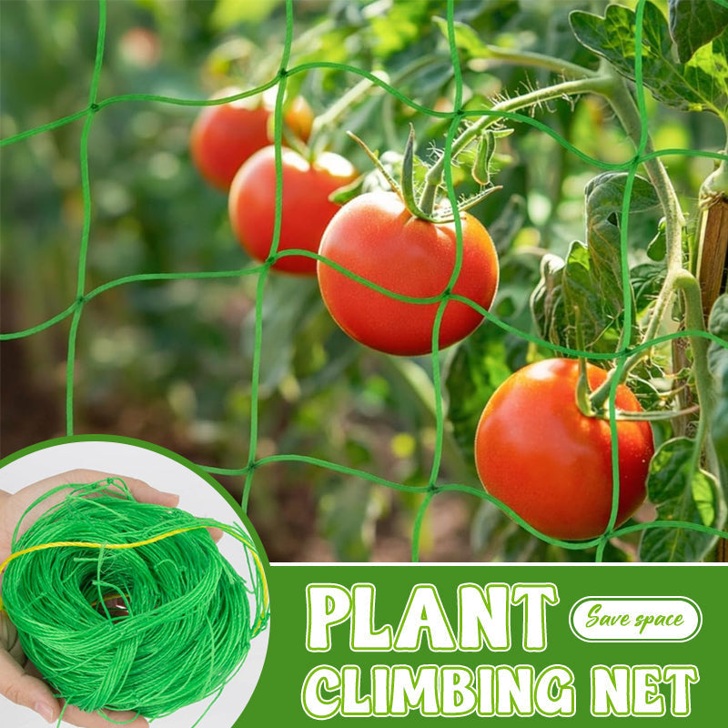 Say goodbye to broken branches. The ultra-strong netting for your vegetables. 💪🥒--Plant Climbing Net