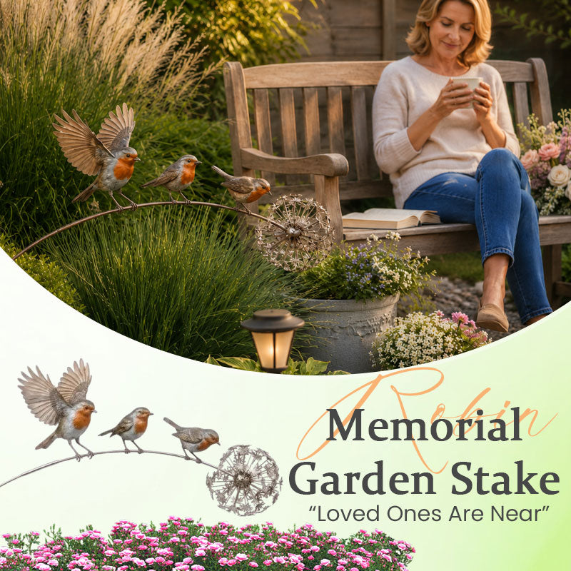 🕊️When A Robin Appears, A Loved One Is Near.Keep Their MemoryAlive!❤️🍂