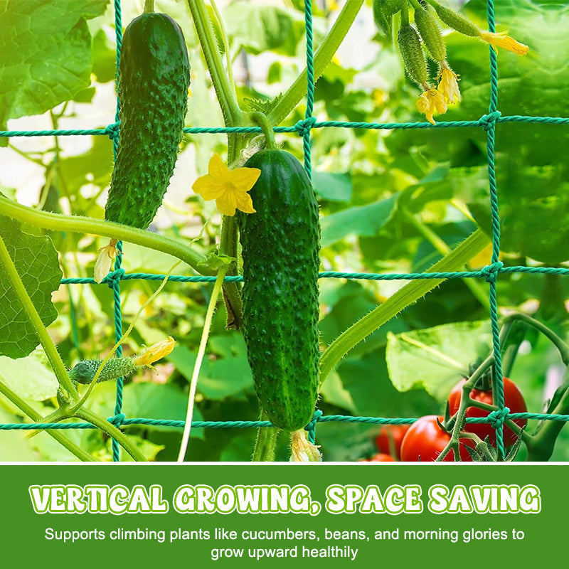 Say goodbye to broken branches. The ultra-strong netting for your vegetables. 💪🥒--Plant Climbing Net