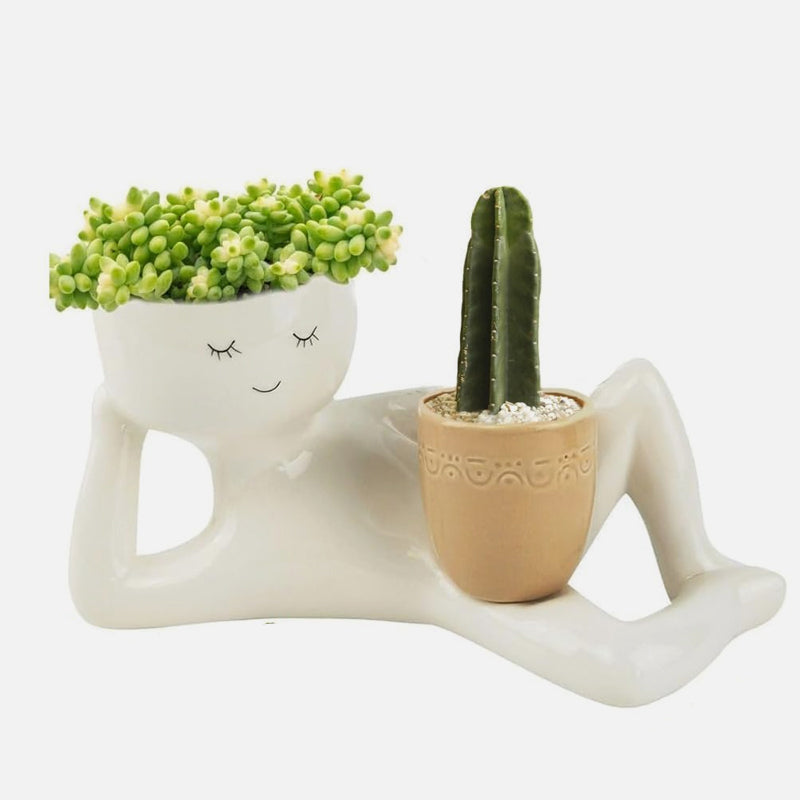🌵Lazy Lounger Face Planter(Creative Double-Pot Edition) ✨