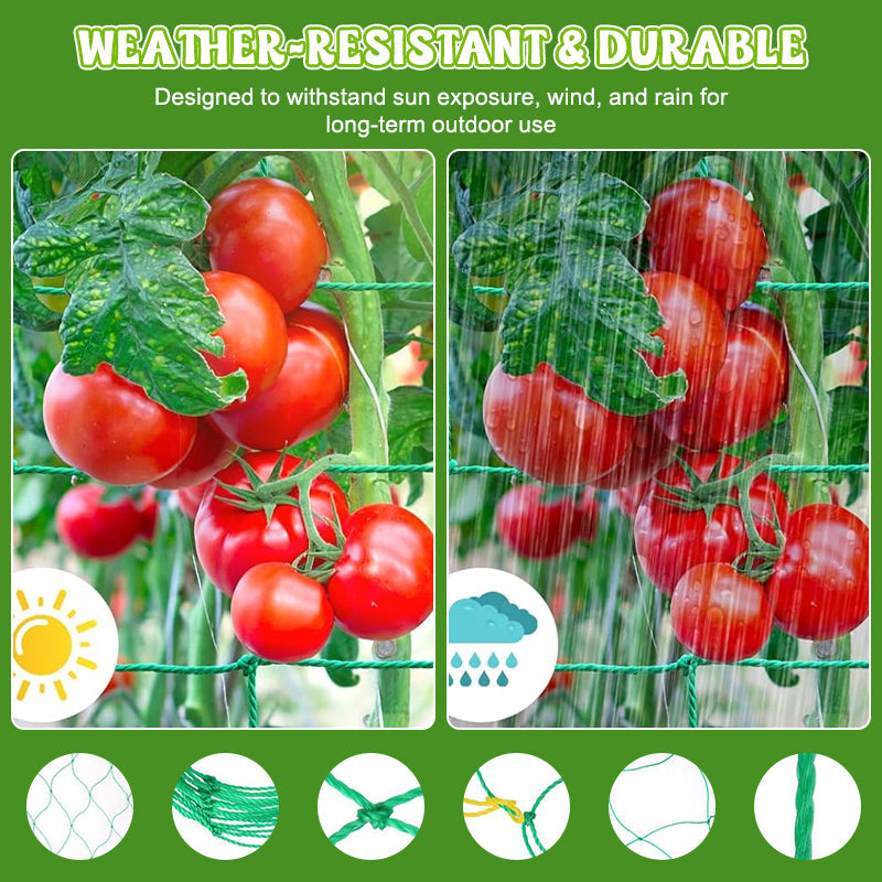Say goodbye to broken branches. The ultra-strong netting for your vegetables. 💪🥒--Plant Climbing Net