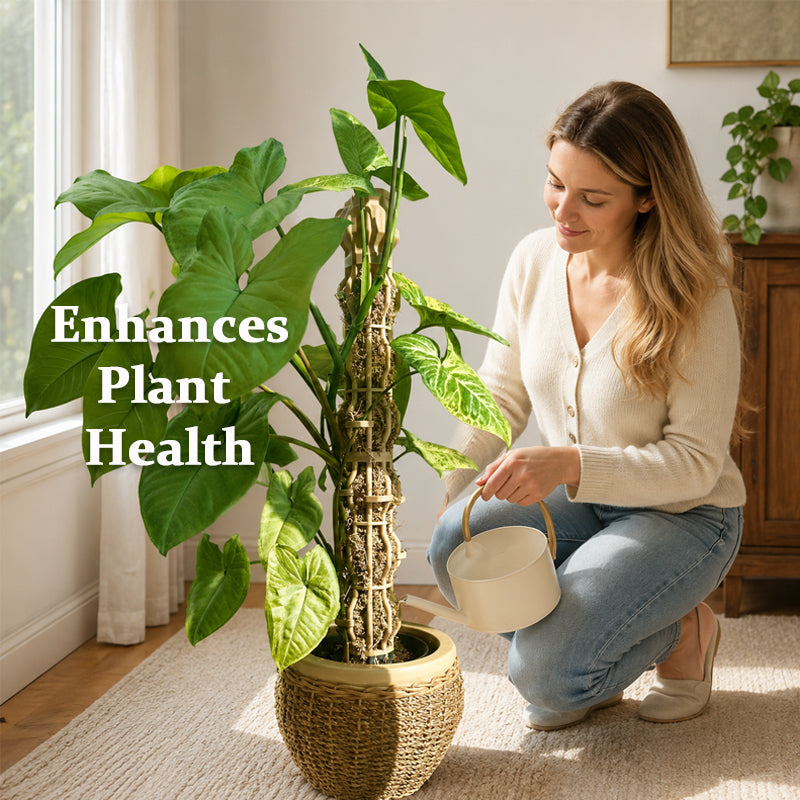 🌿 Simulated Tree Shape Plant Support Stake – Elegant Vertical Growth & Sturdy Support! 🪴✨