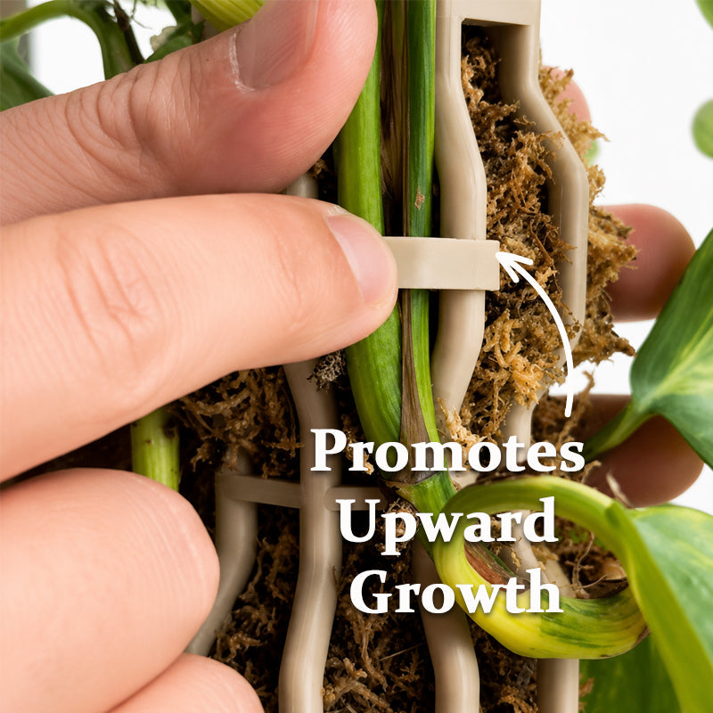 🌿 Simulated Tree Shape Plant Support Stake – Elegant Vertical Growth & Sturdy Support! 🪴✨