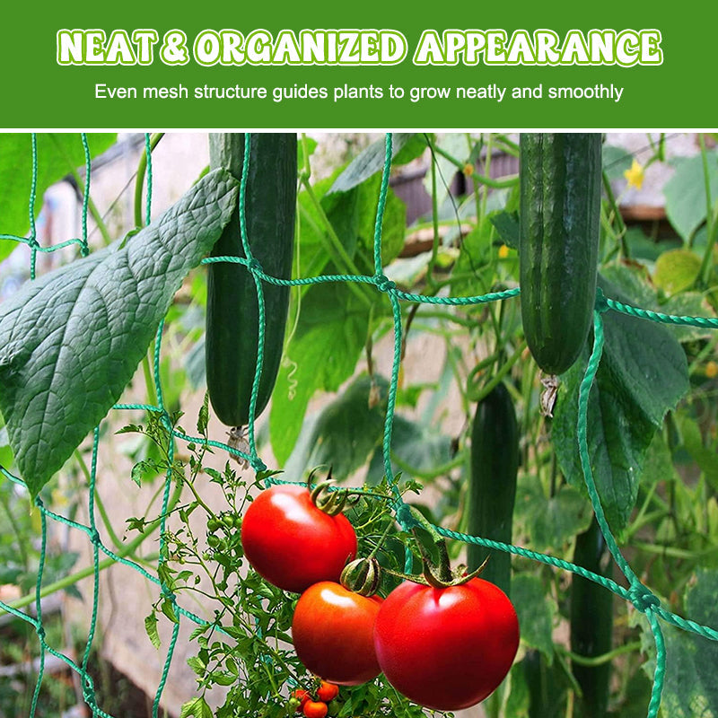 Say goodbye to broken branches. The ultra-strong netting for your vegetables. 💪🥒--Plant Climbing Net