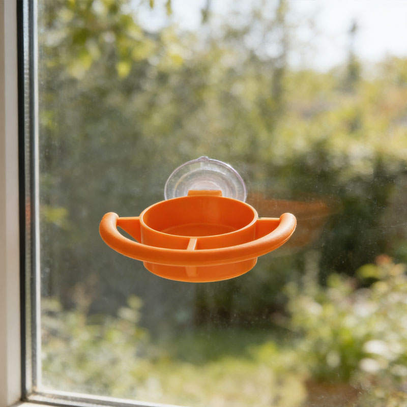 🐦 Let the birds bring nature right to your window! ✨🏠