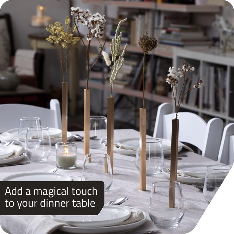 Transform every dinner into a work of art with a magical touch 🍽️🎨