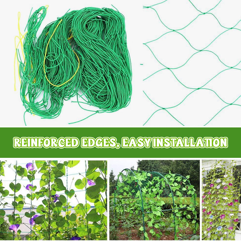 Say goodbye to broken branches. The ultra-strong netting for your vegetables. 💪🥒--Plant Climbing Net