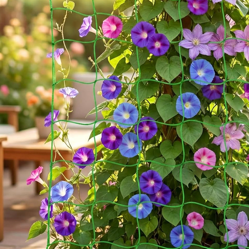 Say goodbye to broken branches. The ultra-strong netting for your vegetables. 💪🥒--Plant Climbing Net