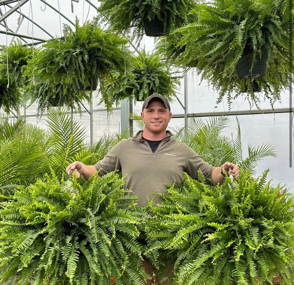 🌿So real, you’ll try to water it☀️ Sun won’t fade it, rain won’t ruin it – outdoor‑ready artificial fern!   🛡️