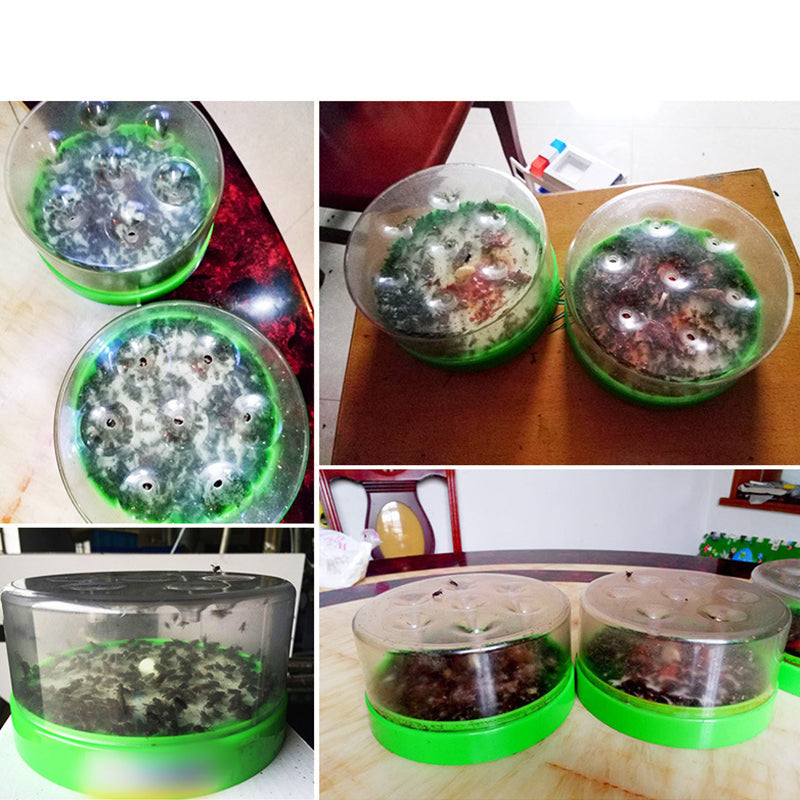 🪰 Eco-friendly fly trap — Free your home from unwanted insects! 🛑