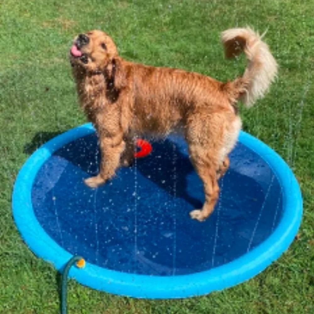 🐶☀️ Keep Your Furry Friend Cool: The Ultimate Summer Splash Pad! 🐾