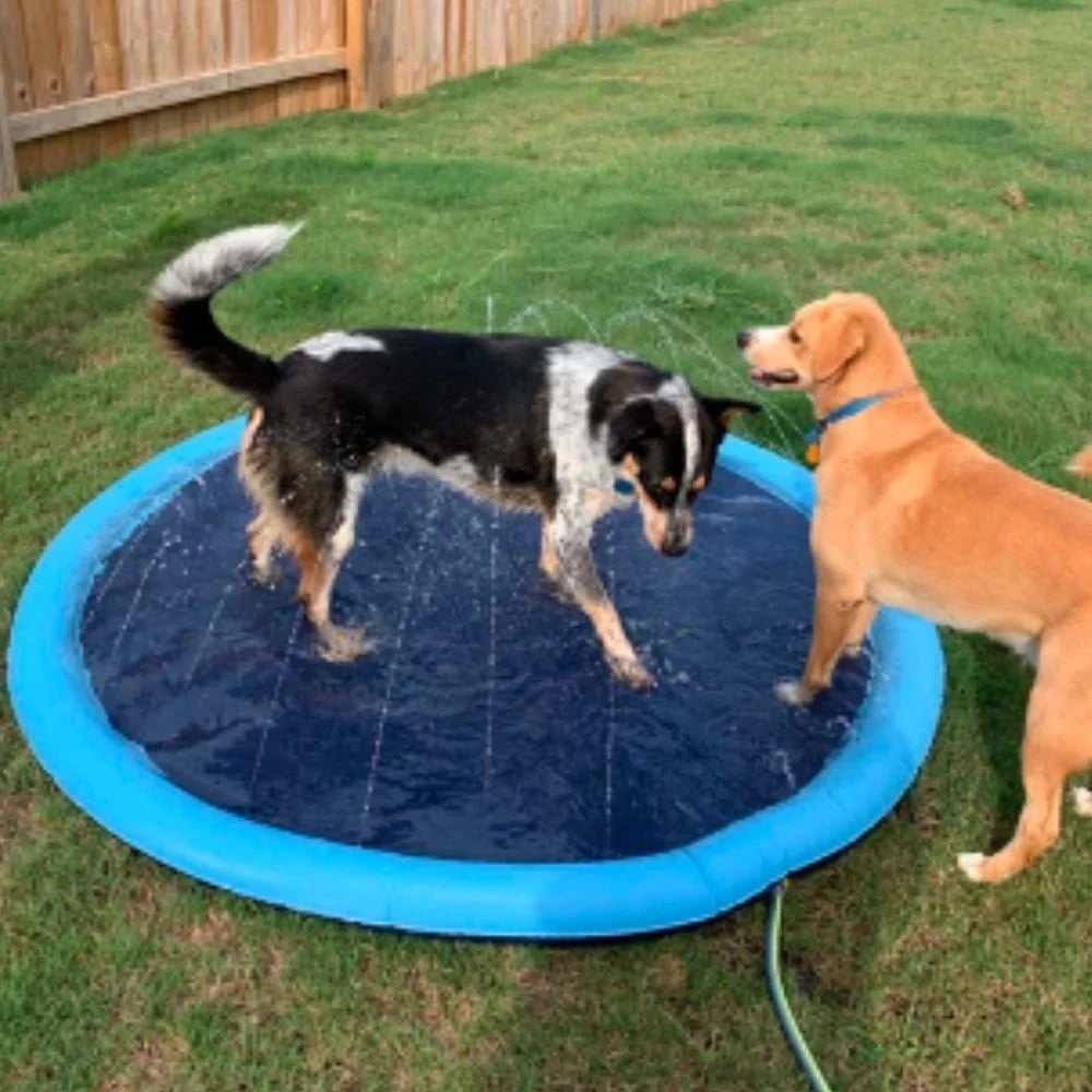 🐶☀️ Keep Your Furry Friend Cool: The Ultimate Summer Splash Pad! 🐾