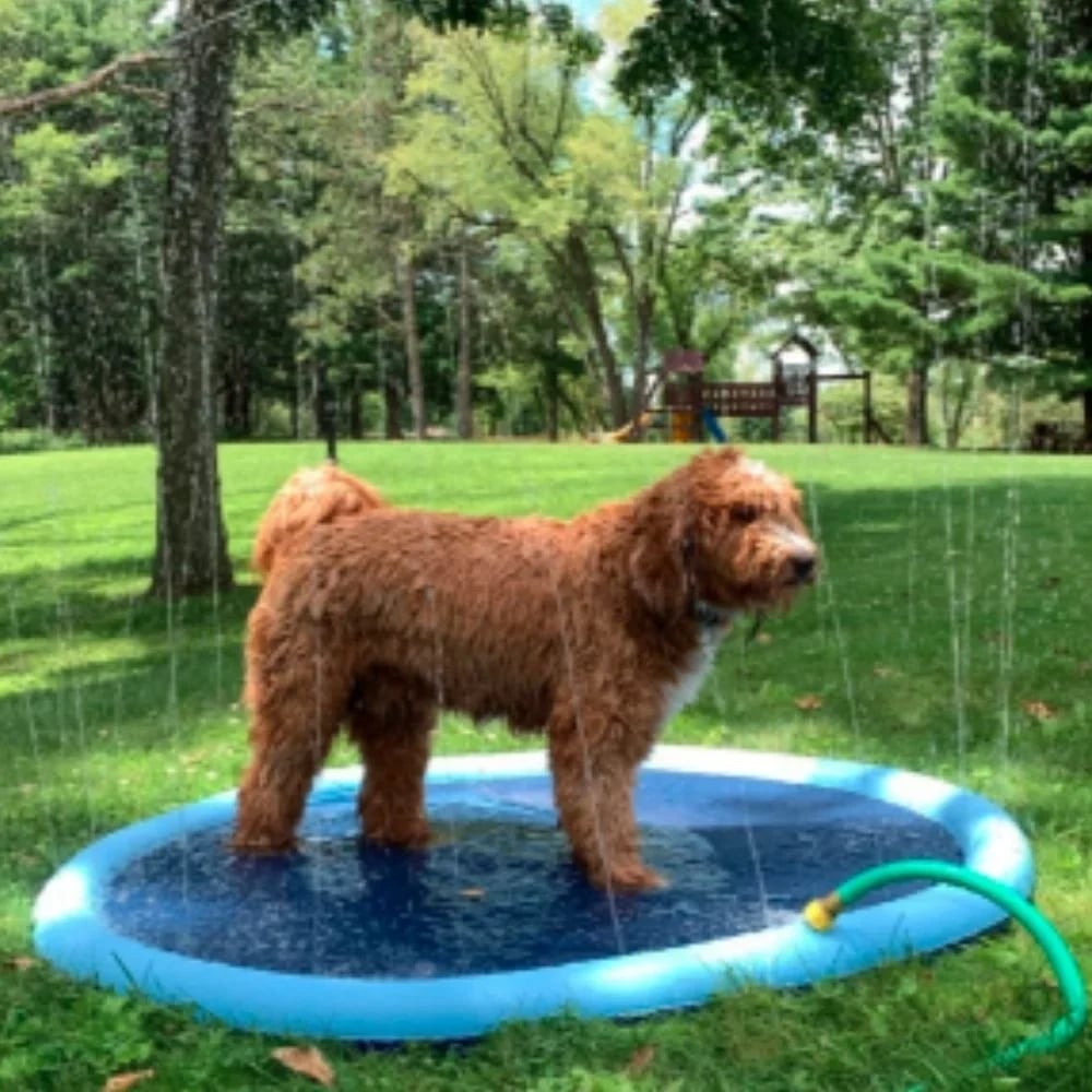 🐶☀️ Keep Your Furry Friend Cool: The Ultimate Summer Splash Pad! 🐾
