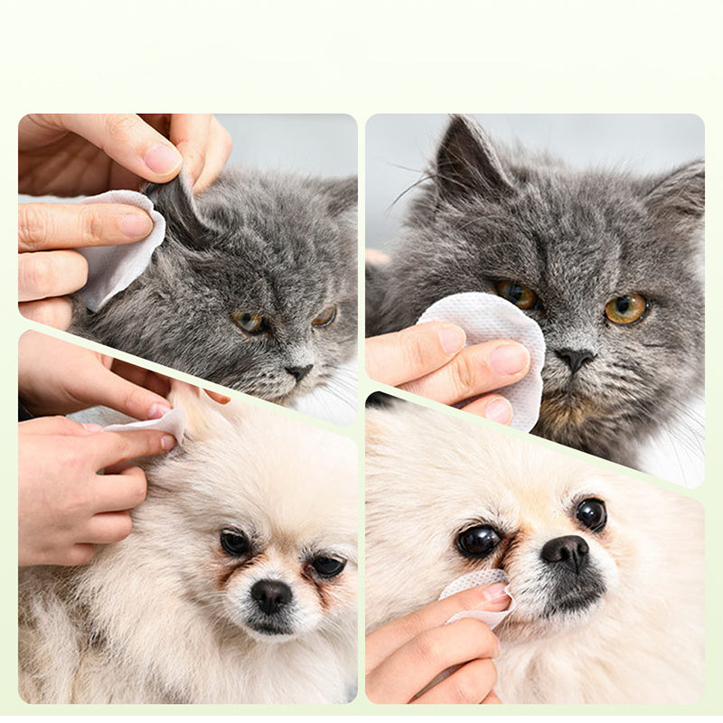 ✨️Surprise: 49% off 🐈Gentle Eye and Ear Cleaning Wipes for Pets 🐾✨
